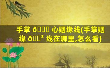 手掌 🐟 心姻缘线(手掌姻缘 🌳 线在哪里,怎么看)